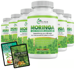 Moringa Magic - Order Now